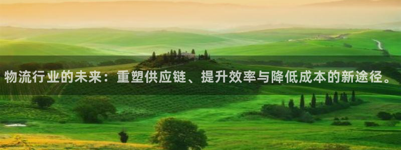 28圈网站平台是多少