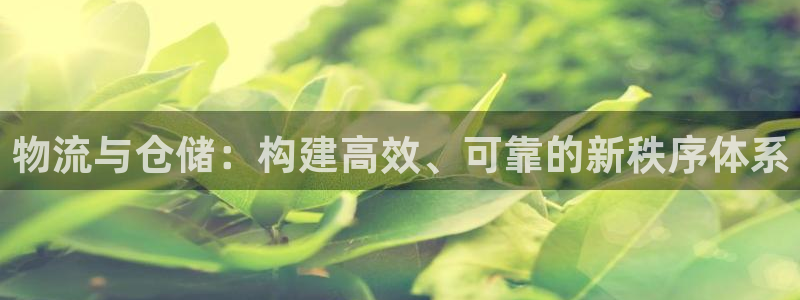 28圈怎么注册账号和密码