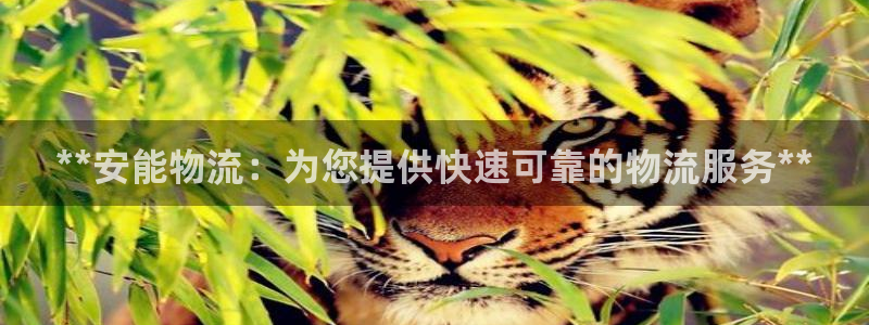 28圈登录不上咋回事