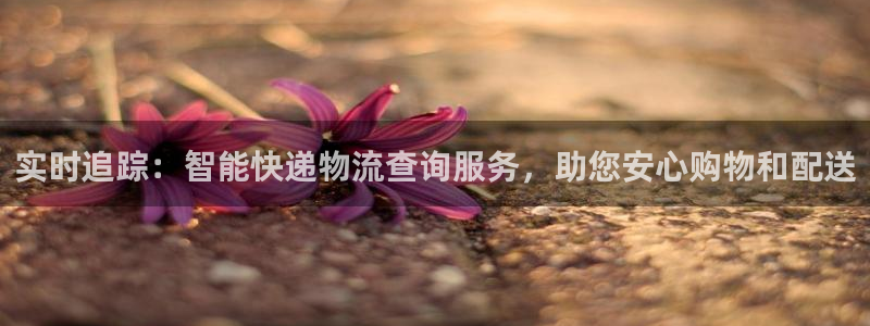 28圈注册登录链接