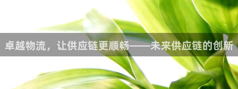 28圈游戏官网平台：卓越物流，让供应链更顺畅——未来供应链的