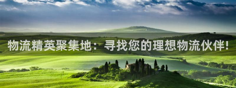 28圈充值不处理