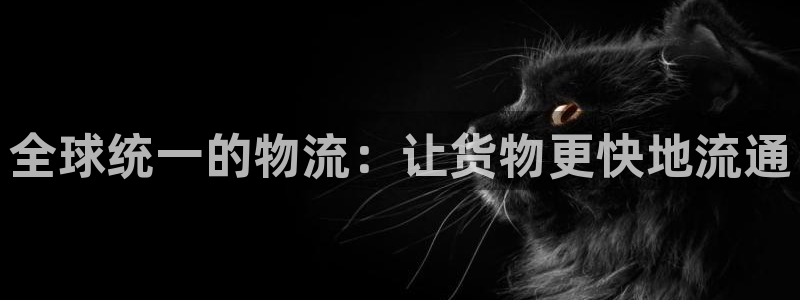 28圈官网开奖结果预测