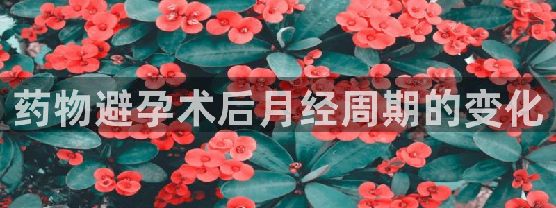 28圈预测加拿大