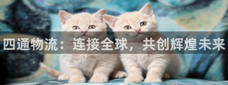 28圈加拿大技巧：四通物流：连接全球