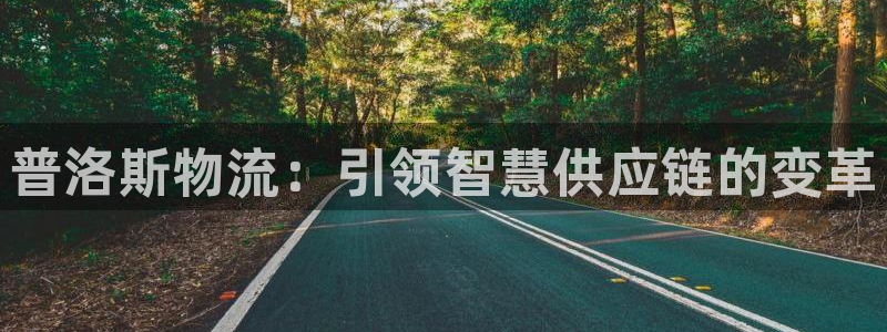 28圈合法吗:普洛斯物流:引领智慧供