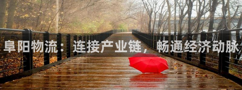 28圈免费充钱:阜阳物流:连接产业链