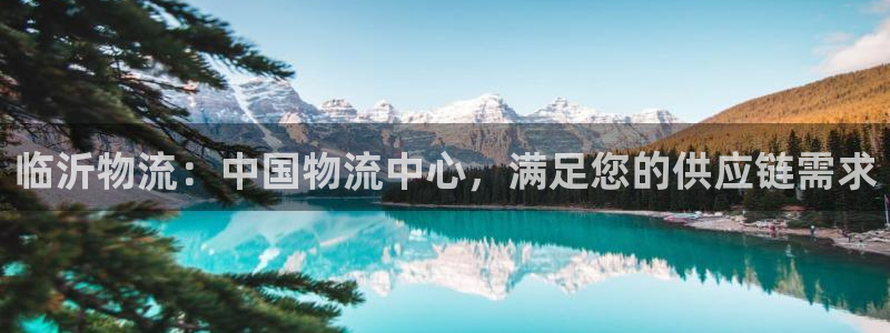 28圈加拿大6.0：临沂物流：中国物流中心，满足您的供应链需