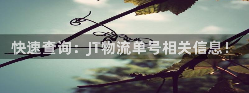 28圈加拿大真假怎么看