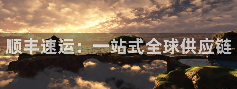 28圈.ccmpc29官网版：顺丰速运：一站式全球供应链