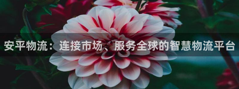 28圈注册网站谁有