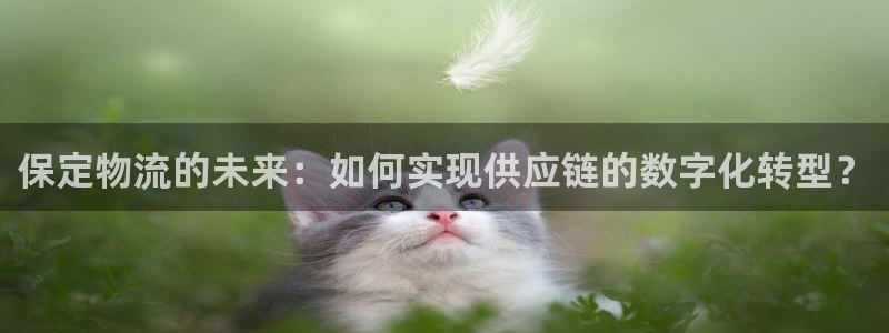 28圈麻将胡了爆分视频