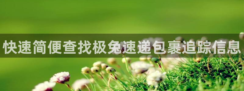 28圈赌博被抓：快速简便查找极兔速递包裹追踪信息