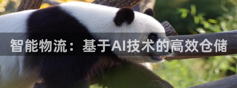 28圈加拿大技巧：智能物流：基于AI技术的高效仓储