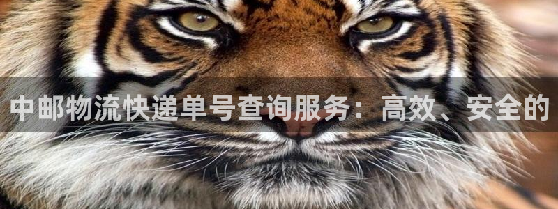 28圈.ccm2024：中邮物流快递单号查询服务：高效、安全
